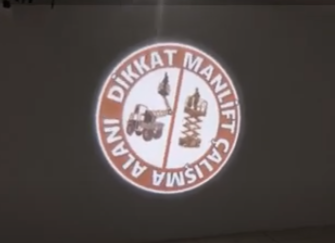 231