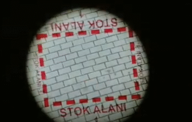 66