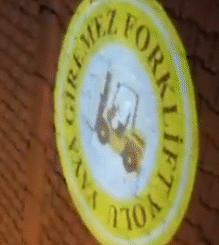 Logo Yansıt Fabrika Güvenlik Işığı Forklift Yolu Yaya Giremez uyarı ışığı, www.logoyansit.com 15 CD